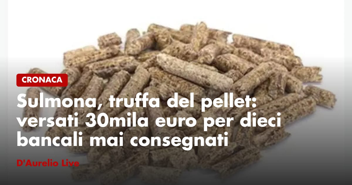 Sulmona, truffa del pellet: versati 30mila euro per dieci bancali mai ...
