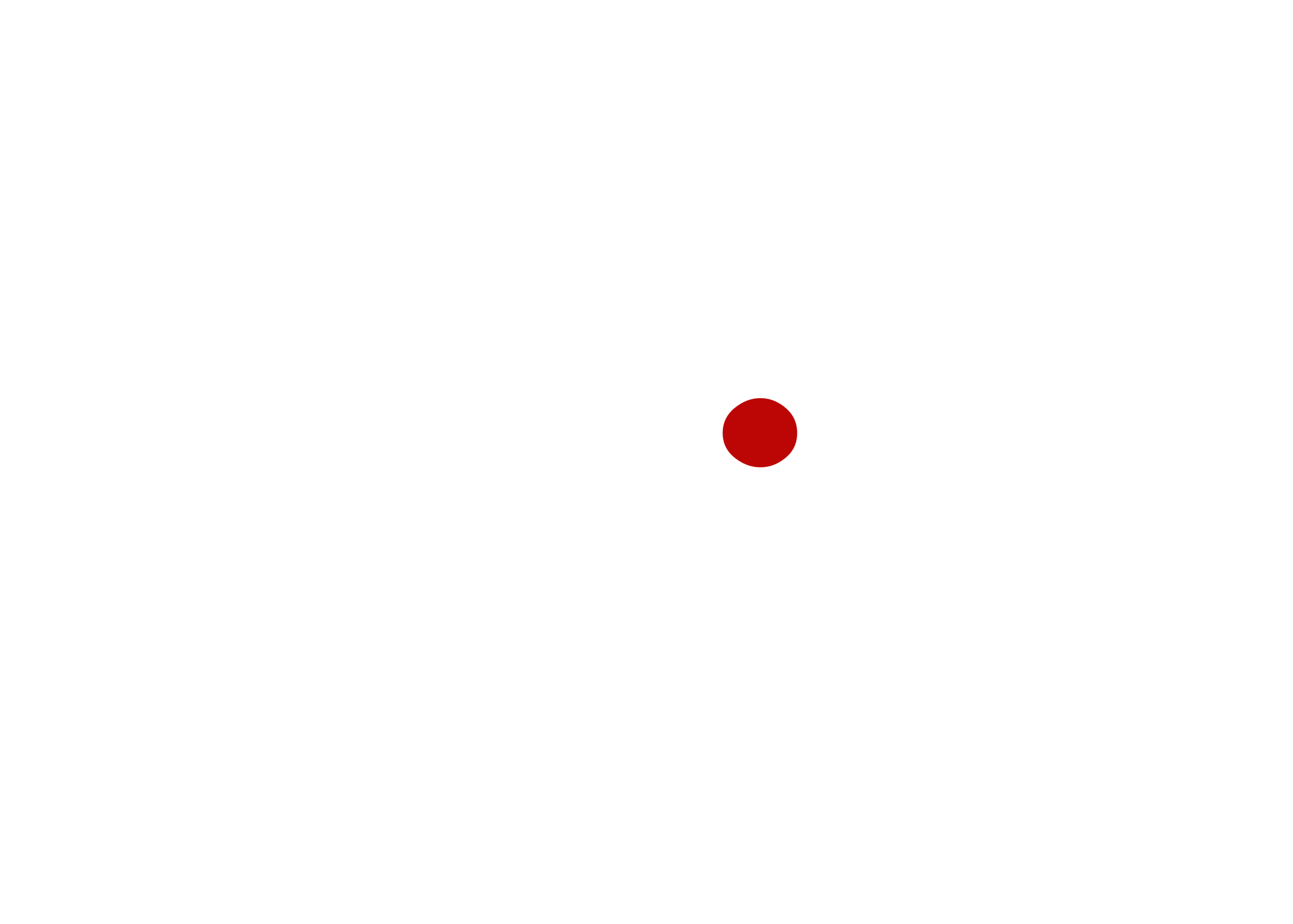D'Aurelio Live