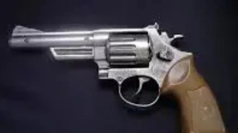Pistola a tamburo e fucile in casa. Chiesto il processo per un pastore