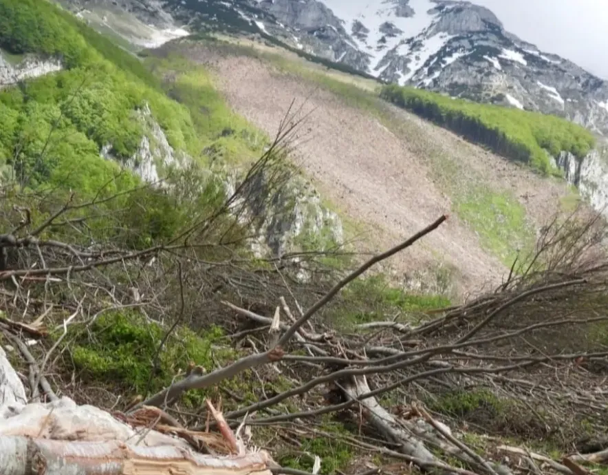 Morrone, nove anni di incendi e un Parco senza direttore: la storia ora è nelle carte della Procura
