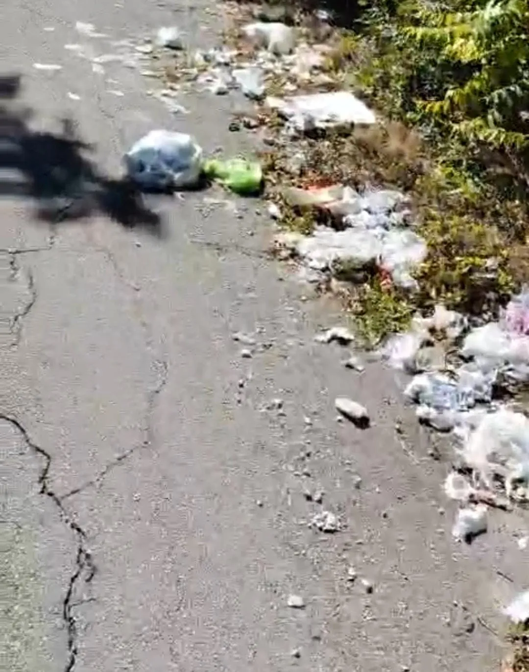 Santa Rufina, mega discarica a cielo aperto ripresa dalle telecamere. Scatta il blitz