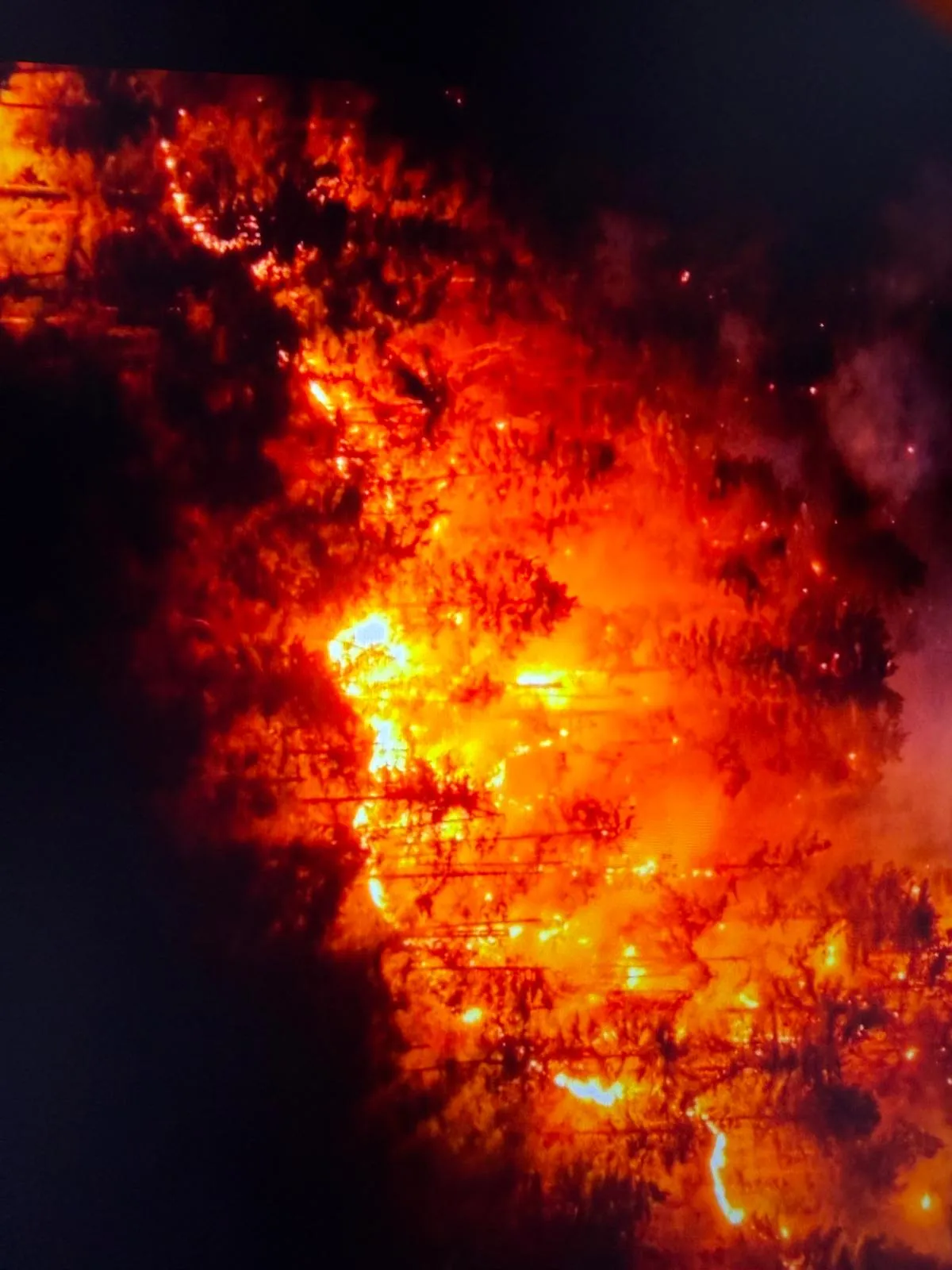 Morrone in fiamme, sterminio di animali. "Ecco chi paga"