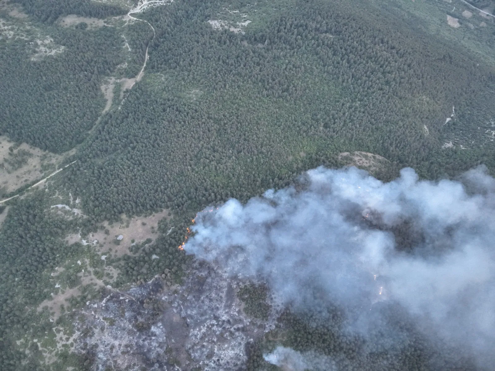 Incendio a Roccacasale: Scelli chiama i rinforzi. Arriva l'esercito sul Morrone