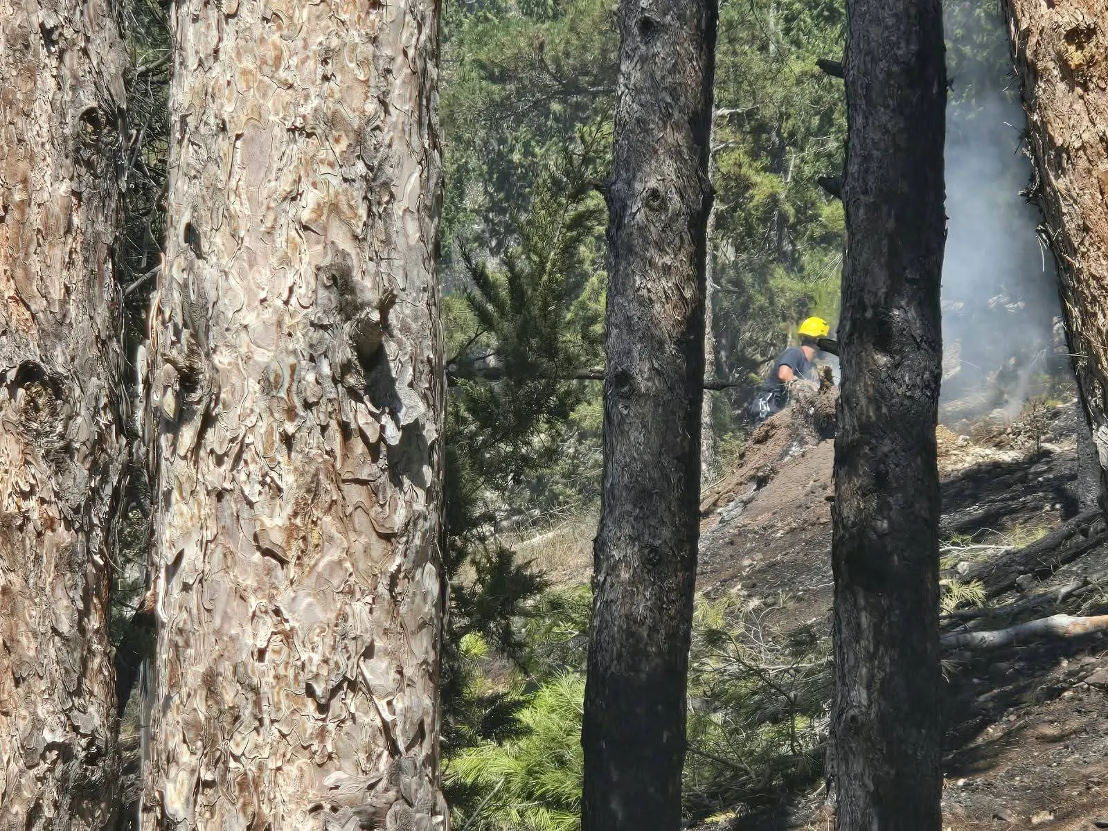 Morrone niente fiamme, parte la maxi bonifica. Vertice in procura per le indagini
