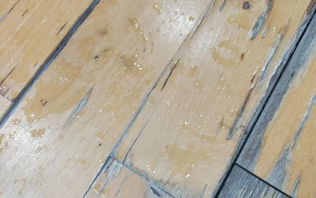 Sulmona, piove dentro il Palazzetto dello Sport: il parquet si deteriora e i campionati sono alle porte