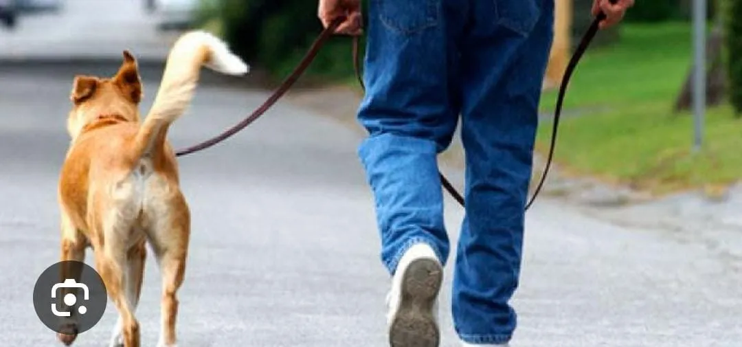 Deiezioni canine da pulire con lo spruzzino. Associazione ricorre al Tar